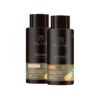Duo Kit Blends 500ml